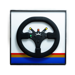 Quadro Williams FW16 - 1994 - Volante - Fórmula 1 - Escala 1:1