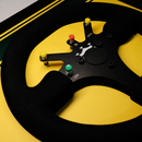 Quadro Williams FW16 - 1994 - Volante - Fórmula 1 - Escala 1:1