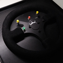 Quadro Williams FW16 - 1994 - Volante - Fórmula 1 - Escala 1:1