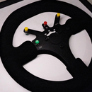 Quadro Williams FW16 - 1994 - Volante - Fórmula 1 - Escala 1:1