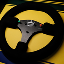 Quadro McLaren MP4/5 - 1989 - Volante - Fórmula 1 - Escala 1:1