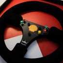 Quadro McLaren MP4/6 - 1991 - Volante - Fórmula 1 - Escala 1:1